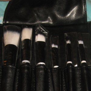 Variety Makeup Brush Set